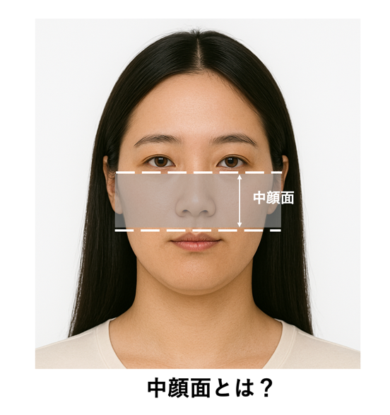 中顔面
